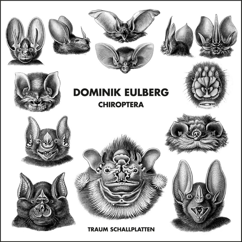 chiroptera dominik eulberg 