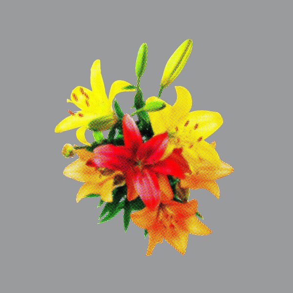 chloroform phoenix aac  