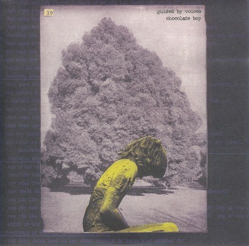 chocolate boy bw as guided by voices 