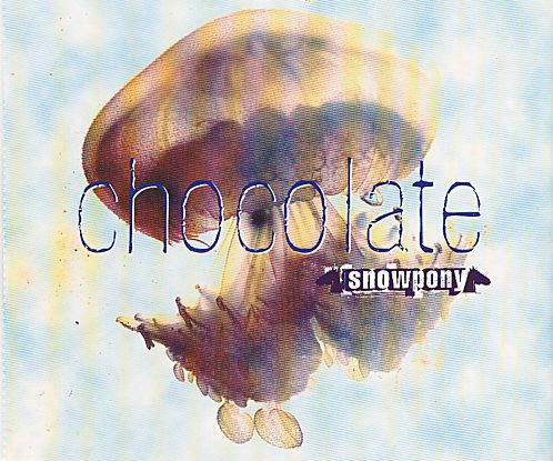 chocolate in the sno snowpony 