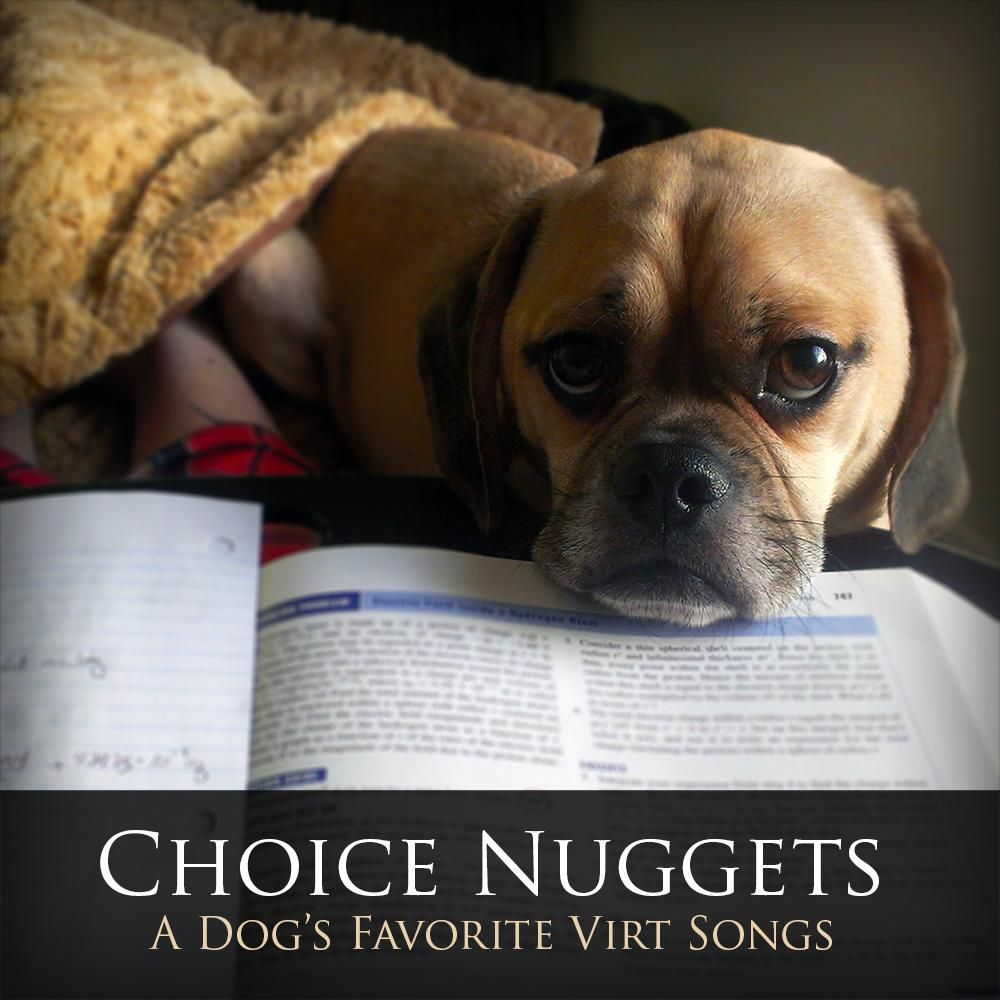 choice nuggets jake kaufman 