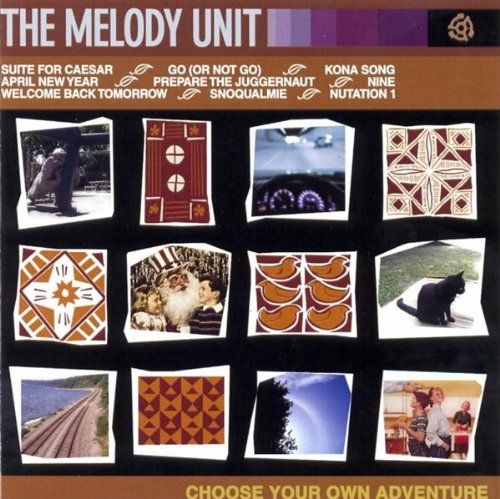 choose your own adve the melody unit 