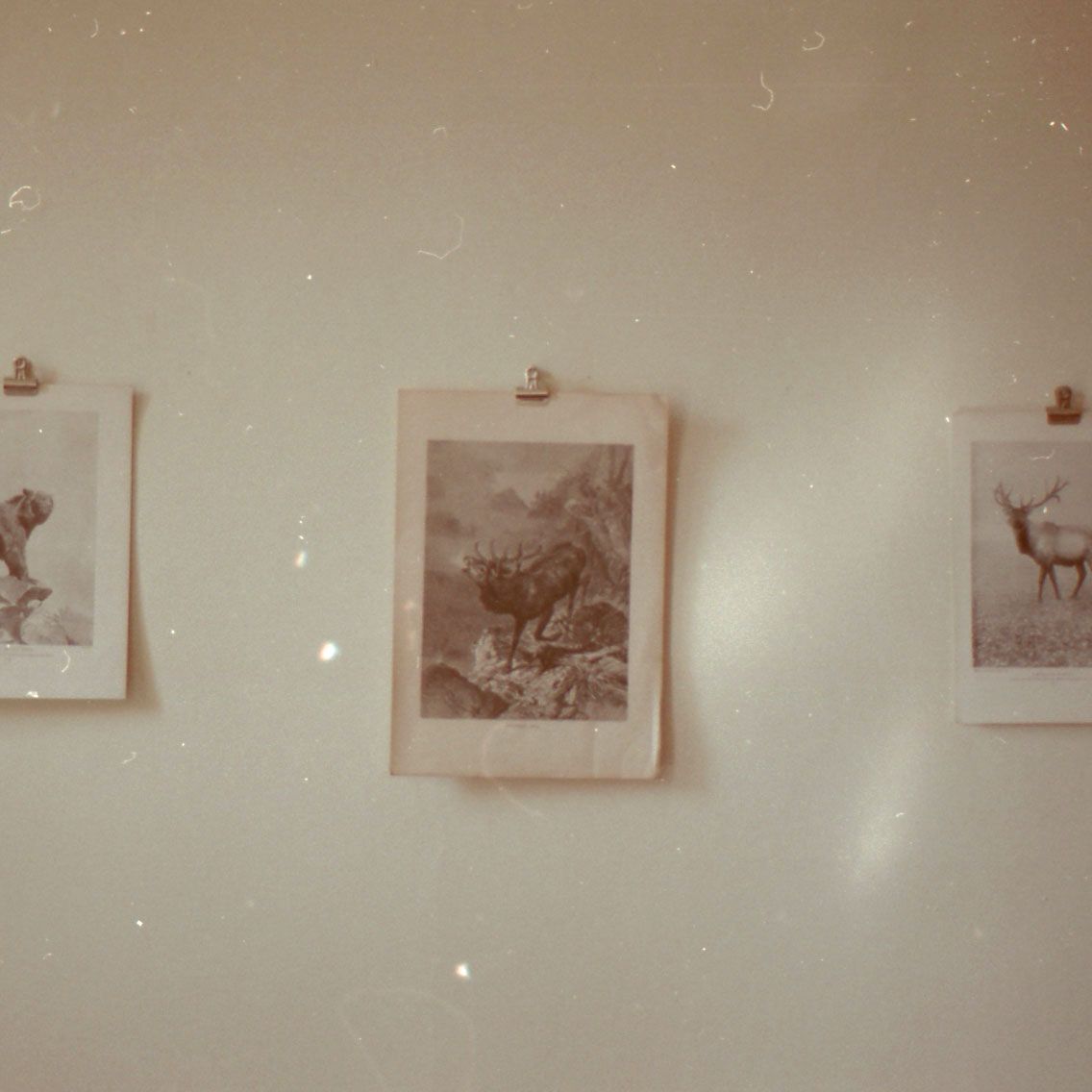 christmas spirit cave sounds 