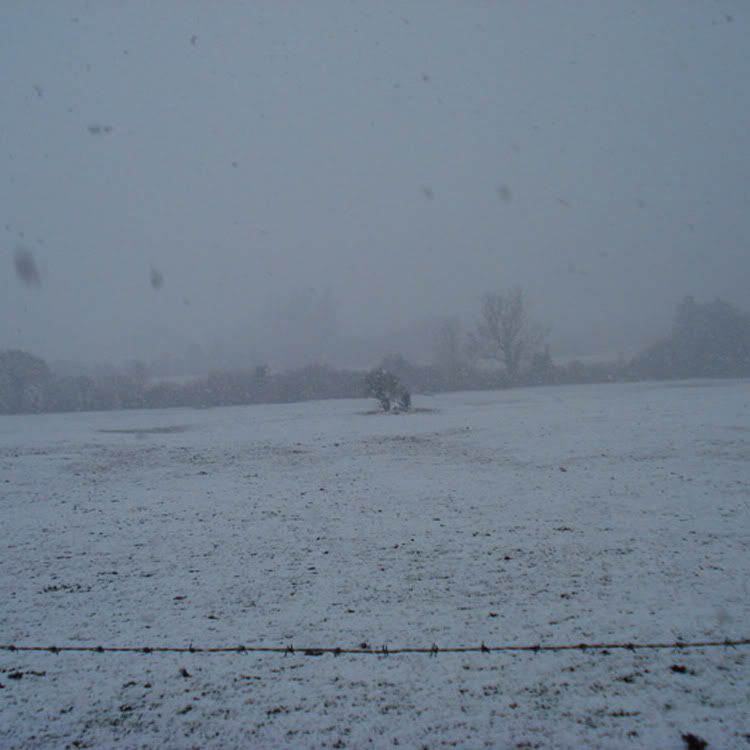 christmas second thought 