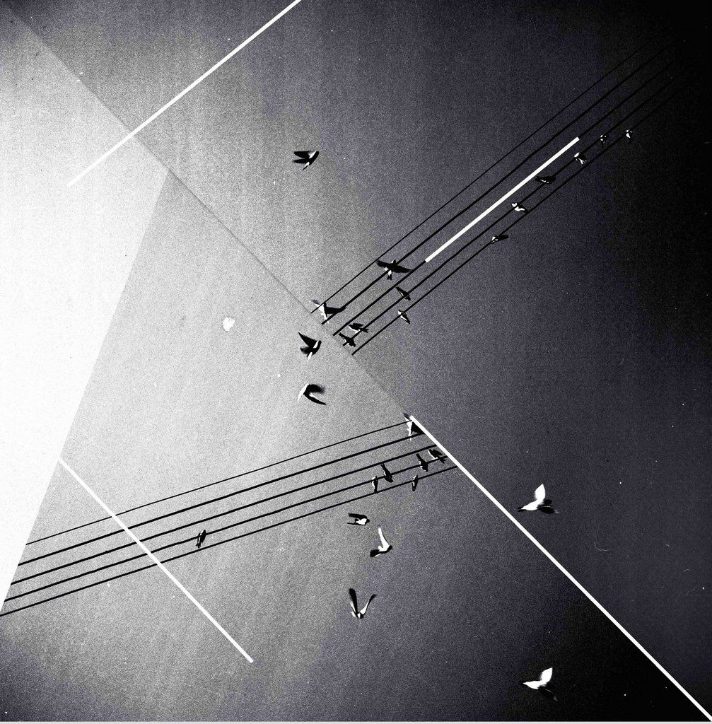 christos laskaris epavlis pavlakis  