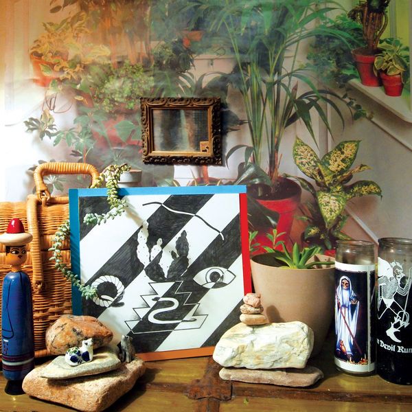 chrome cactus the young 