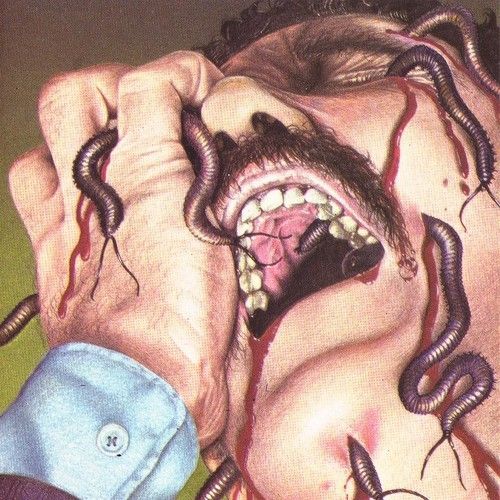 chronicles vol 14 asylum  