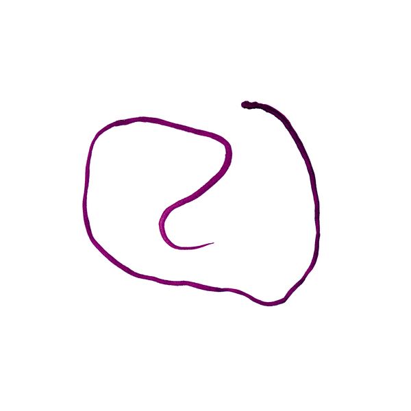 chronicles fabrizio maurizi  