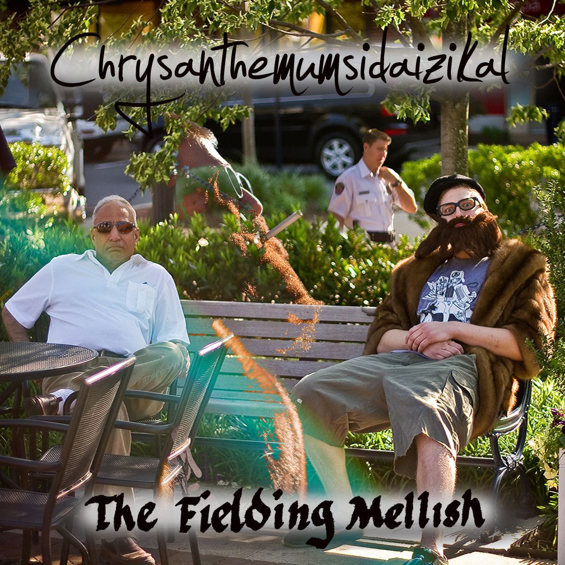 chrysanthemumsidaizi the fielding mellish 