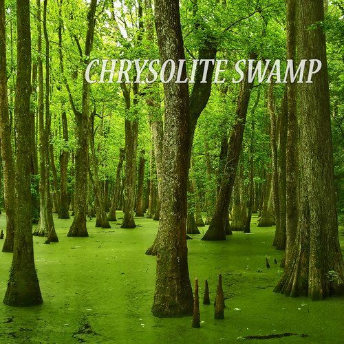chrysolite swamp wmri 