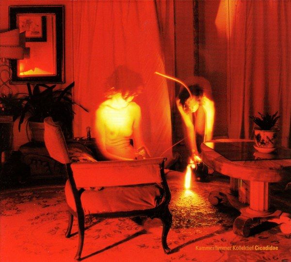 cicadidae kammerflimmer kollek 