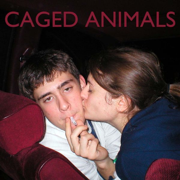 cindyme caged animals 