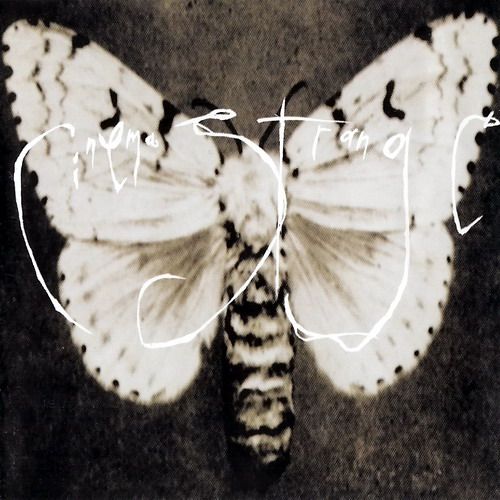 cinema strange cinema strange 