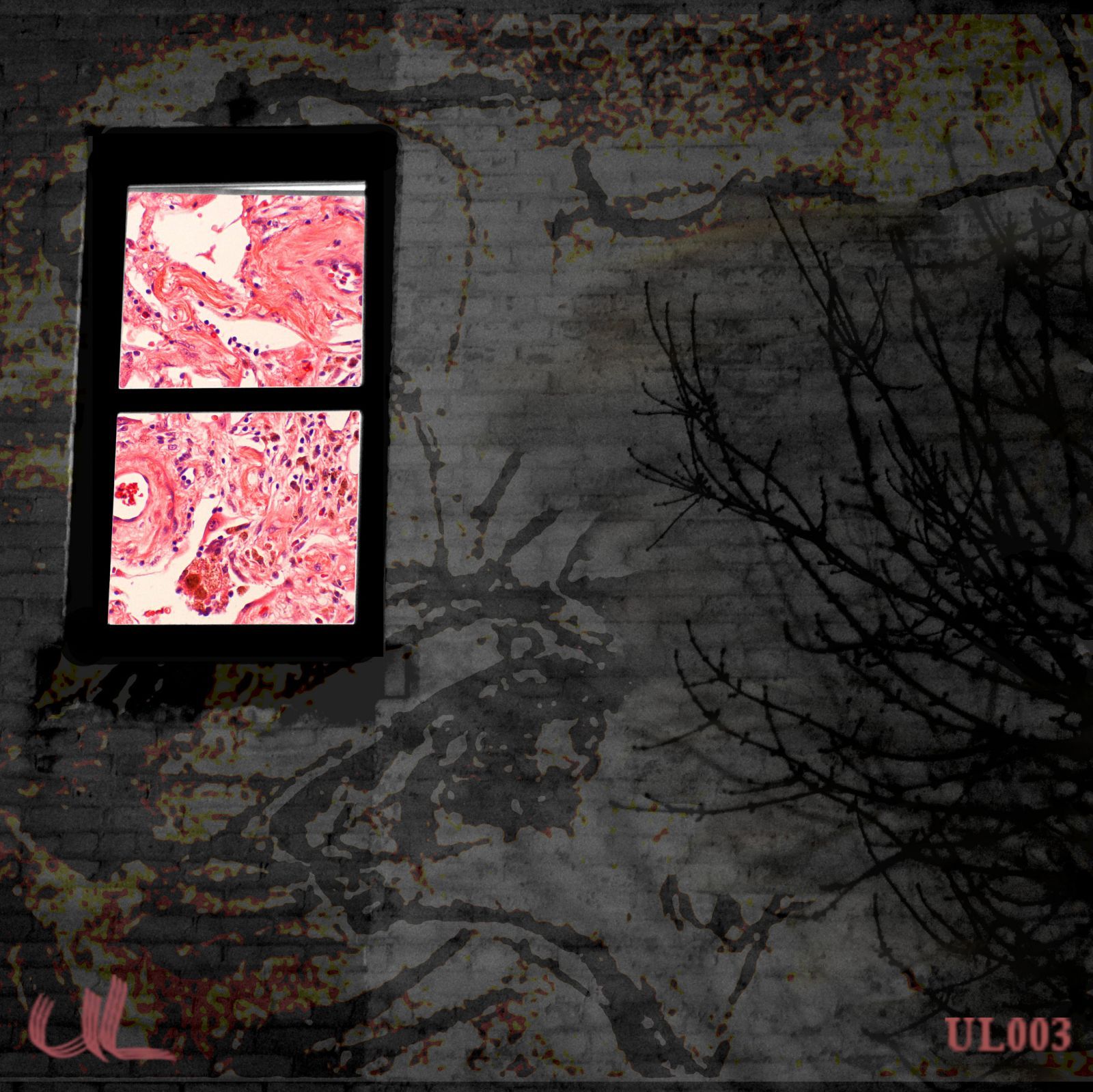 circle of dogs ultimate lifeform 