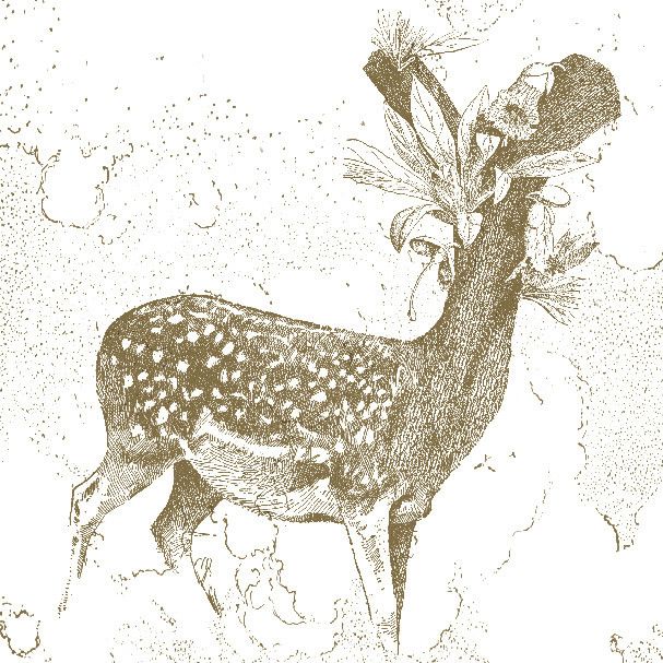 circle winds hiroki sasajima  