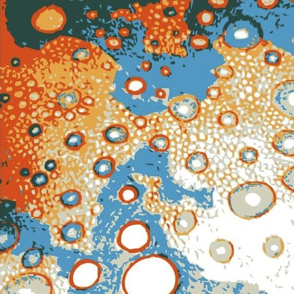 circles tree no leaves 