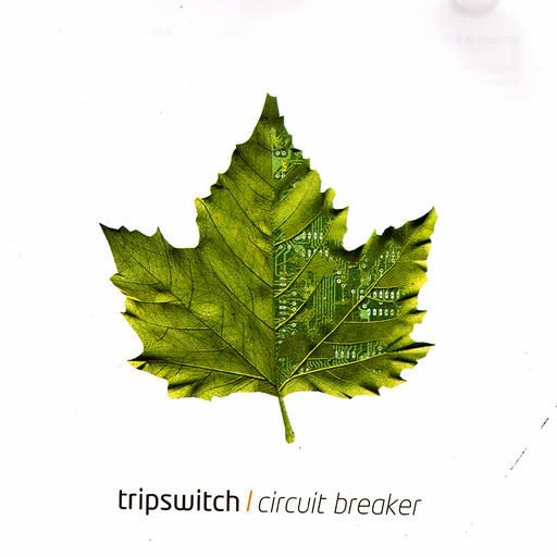 circuit breaker tripswitch 