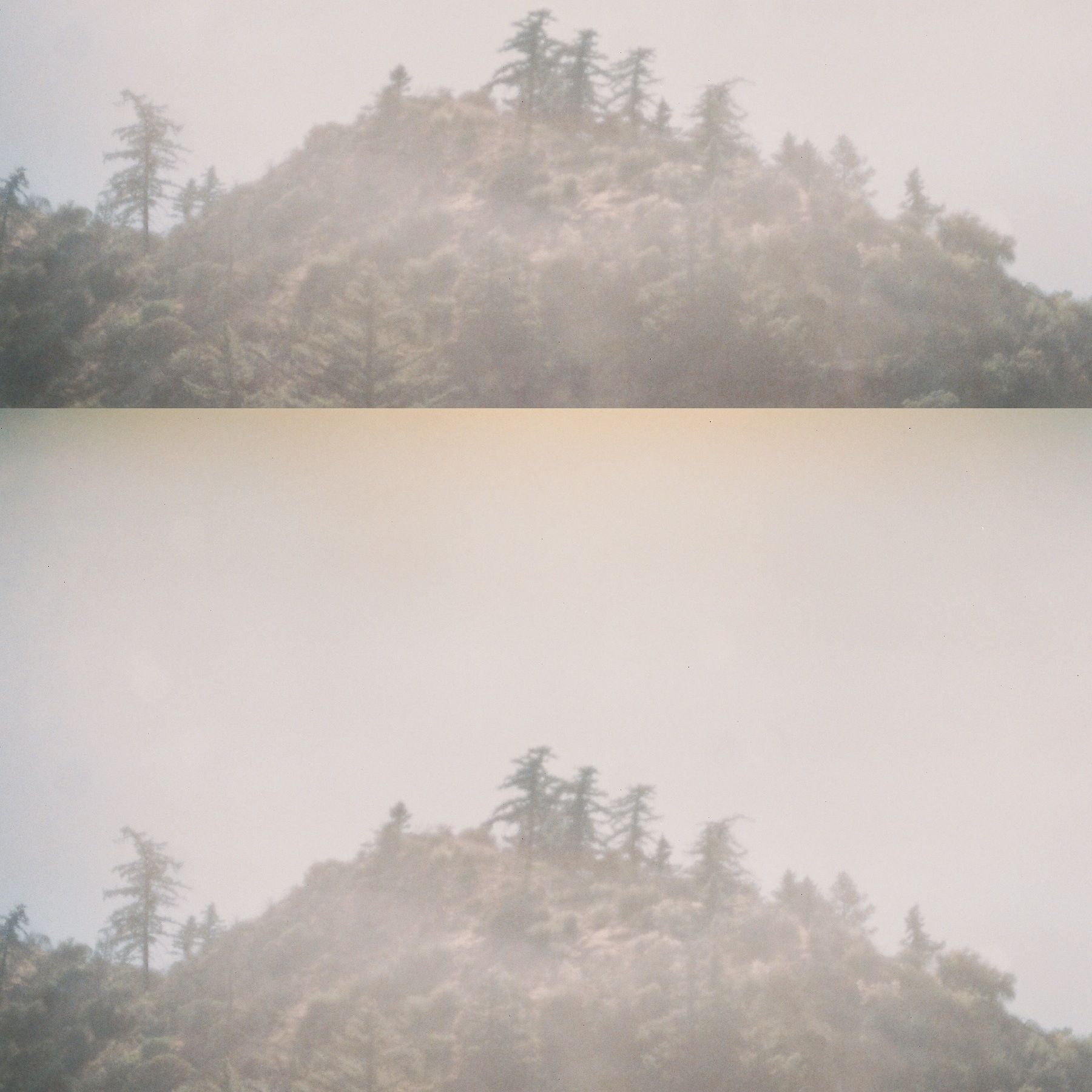 circumstance the robot ate me 