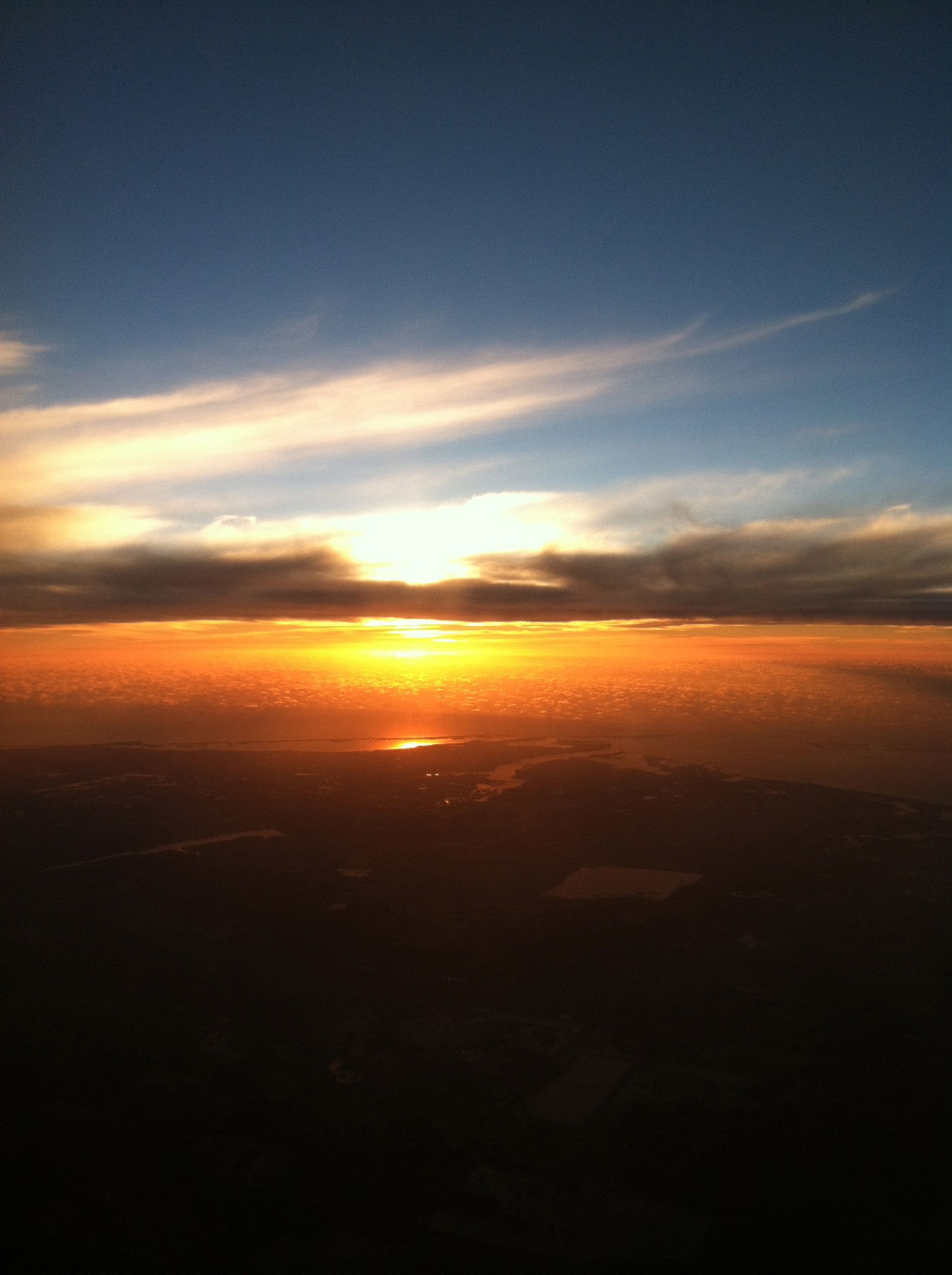 city dogs 1513 former champions 