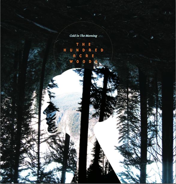 city lights the hundred acre woo  