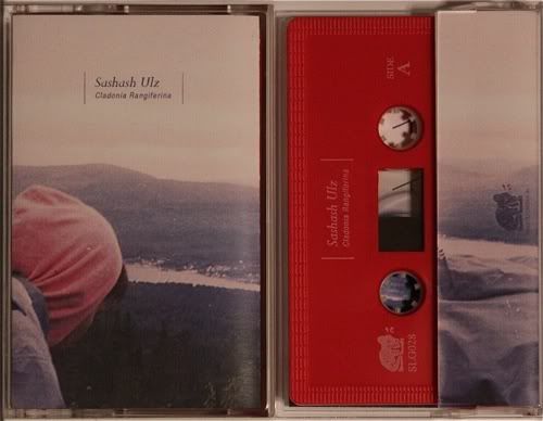 cladonia rangiferina sashash ulz 