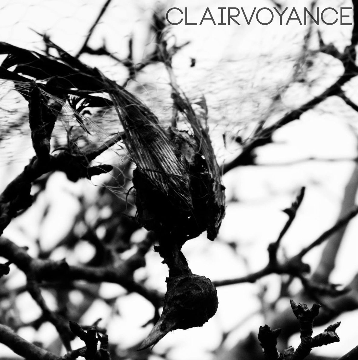 clairvoyance clairvoyance 