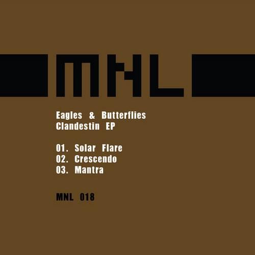 clandestin eagles butterflies 