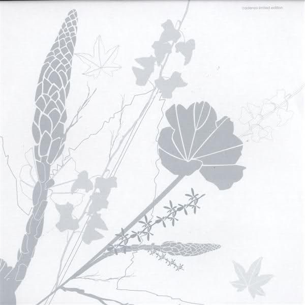 clara ghavami extend nsi  