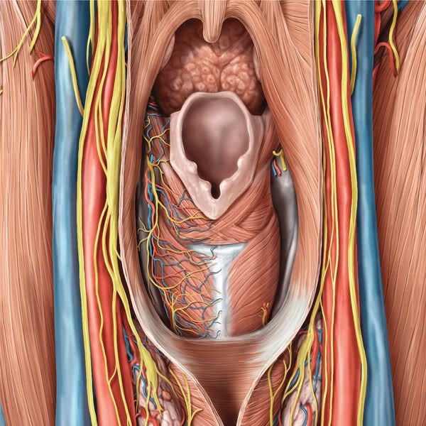 clarion call the third man 