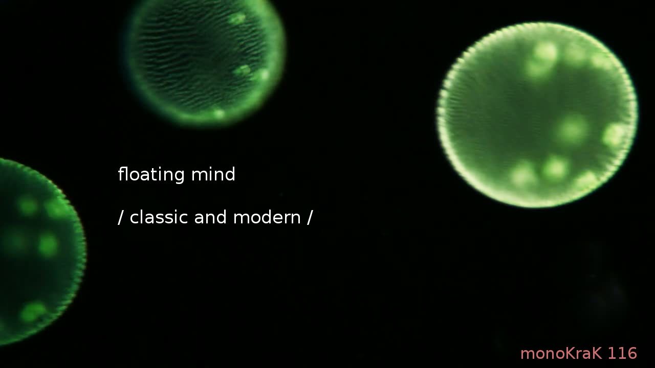 classic and modern floating mind 