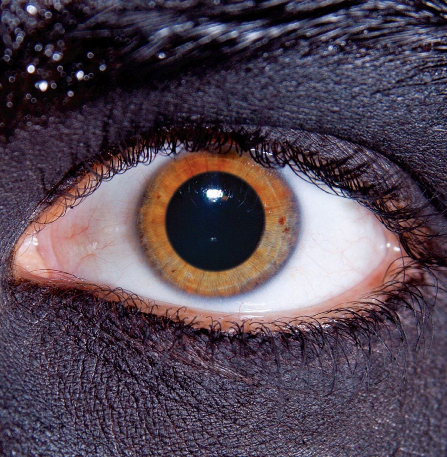 cleaver lever the growl 