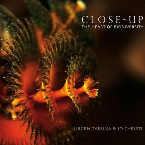 close up ep taruna 