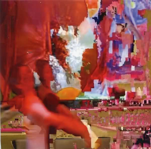 close ups crushed beaks 