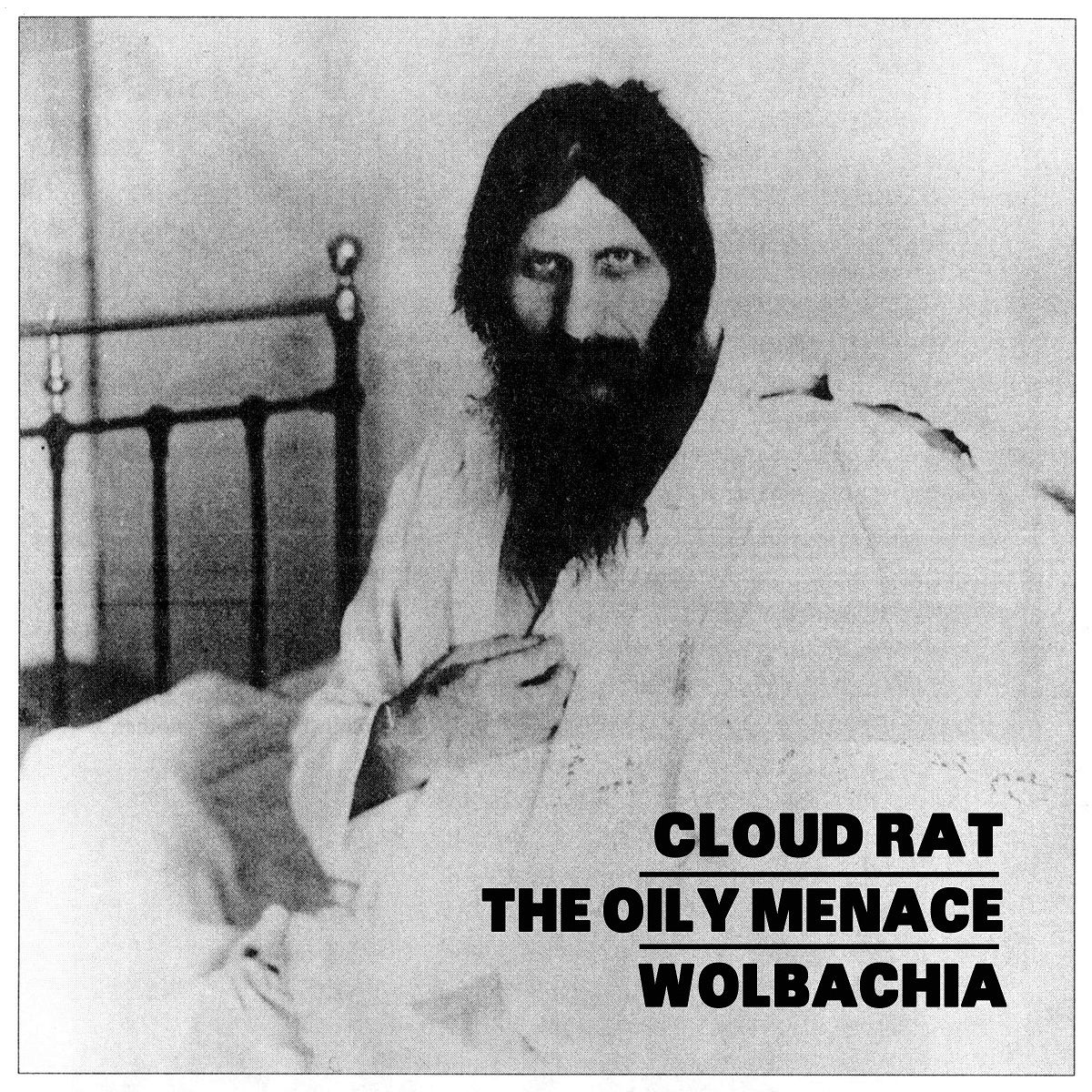 cloud rat the oily cloud rat 