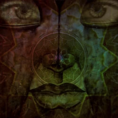 club vampire miro pajic  