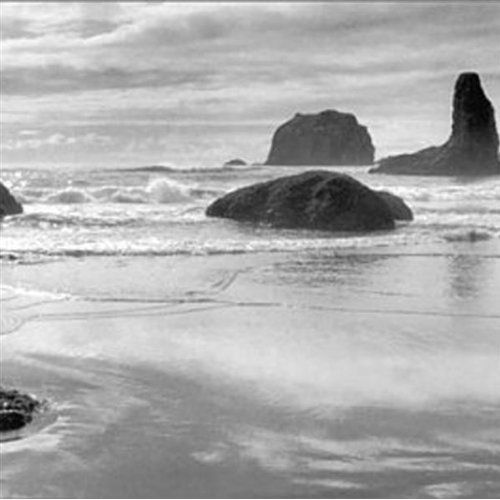 coast to coast ani difranco  