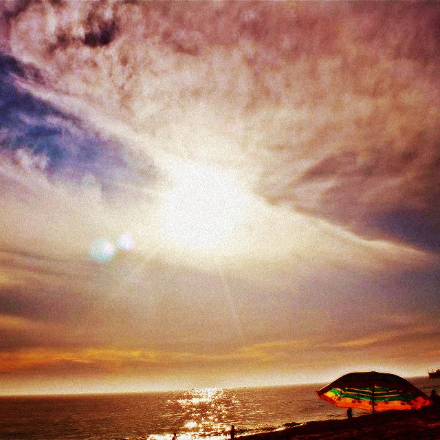 coast tenlittlerabbits 