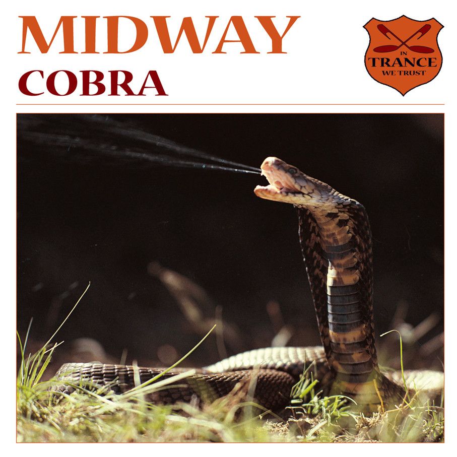 cobra midway 
