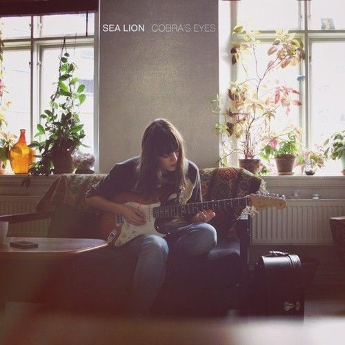 cobras eyes sea lion 