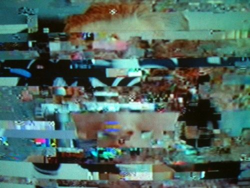 cocaine and hennesey antwon  