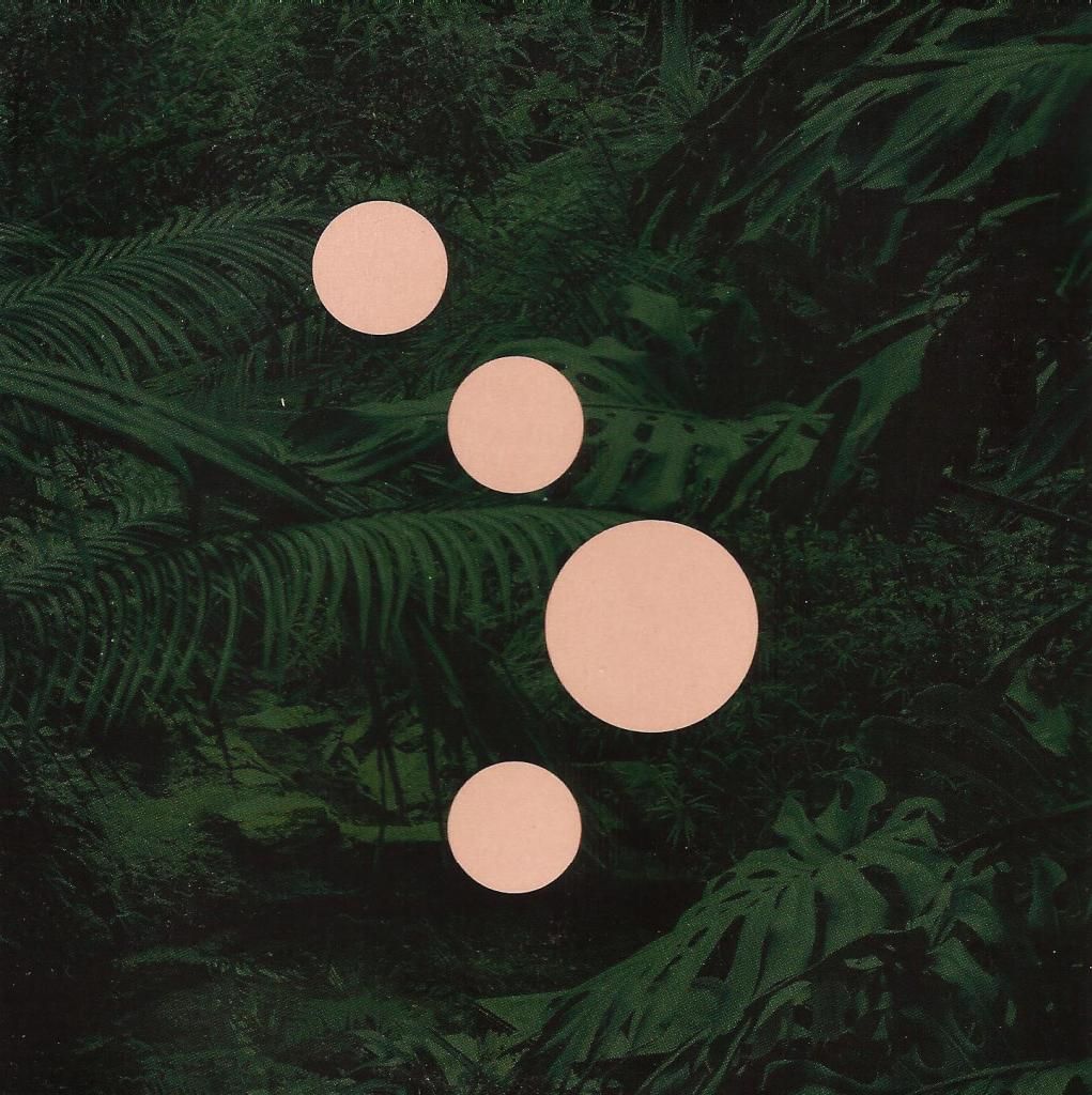 cocoon ibiza matt john 