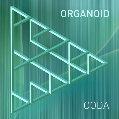 coda organoid  