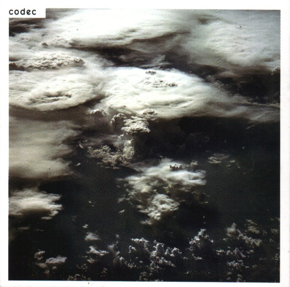 codec  codec a