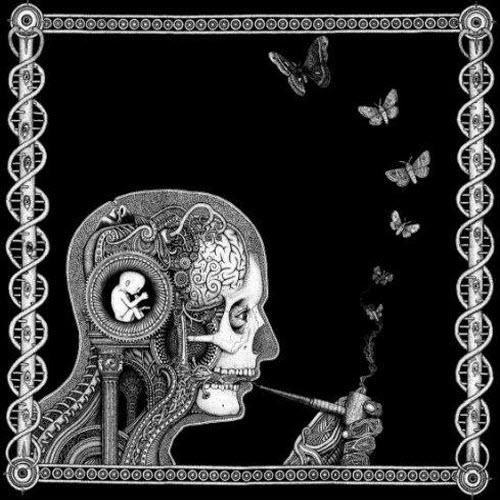 cognitive soen 