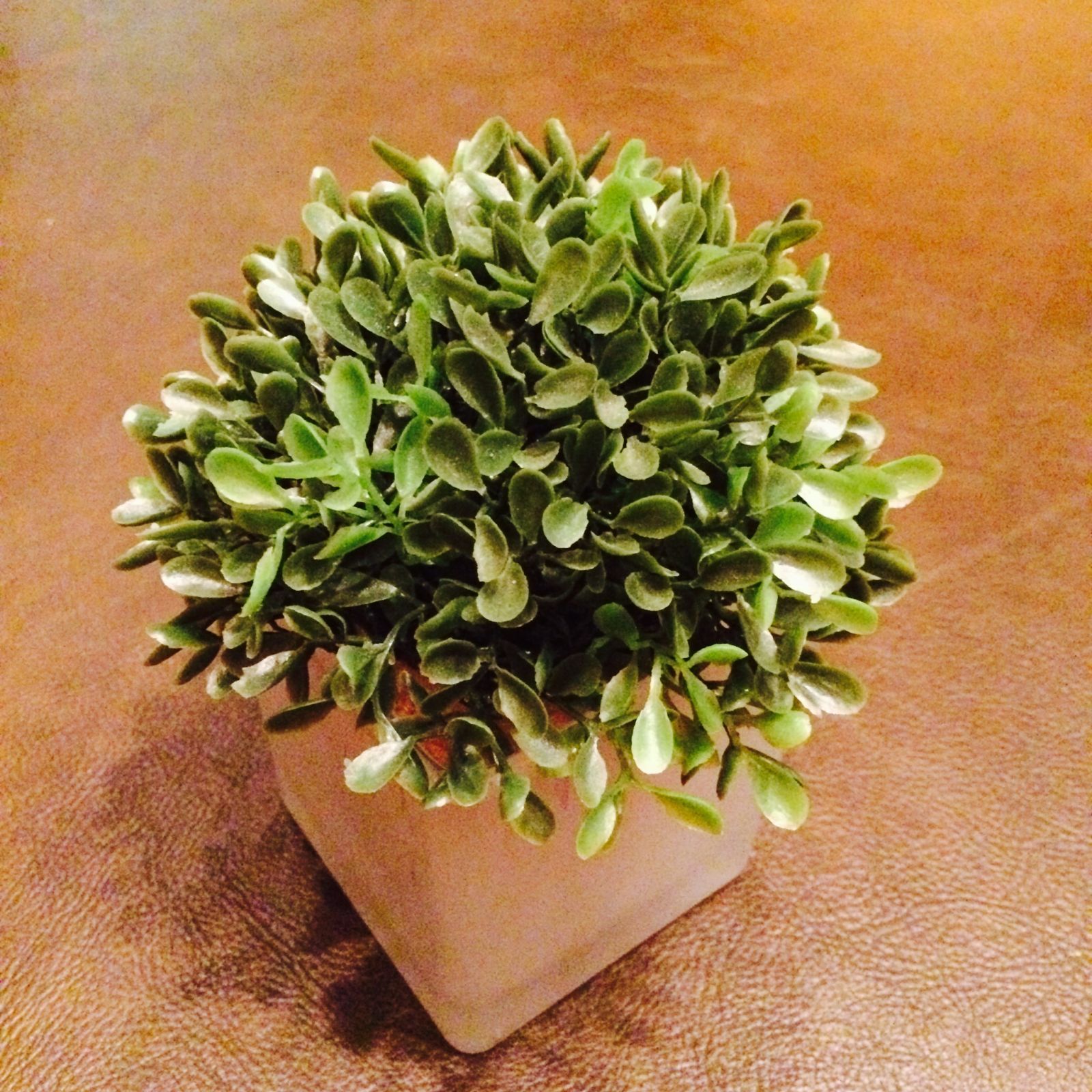 coke boys 5 kassa overall 