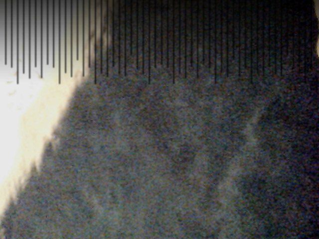 cold earth elijah kamminga 