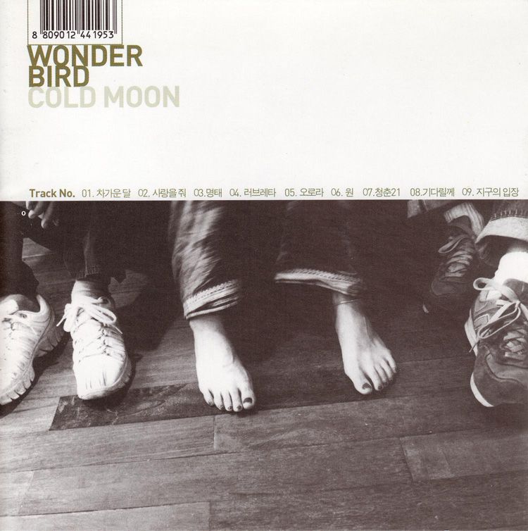 cold moon wonder bird  