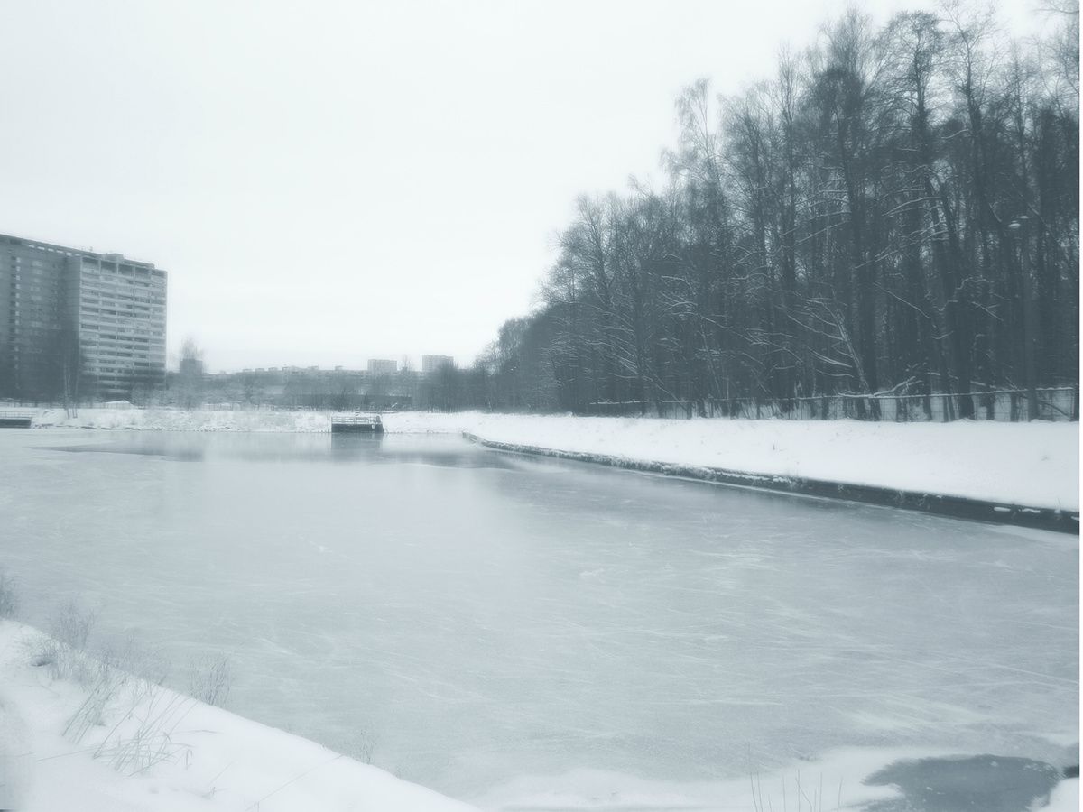 cold neurosis s7evenoct 