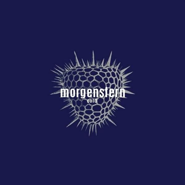 cold morgenstern 