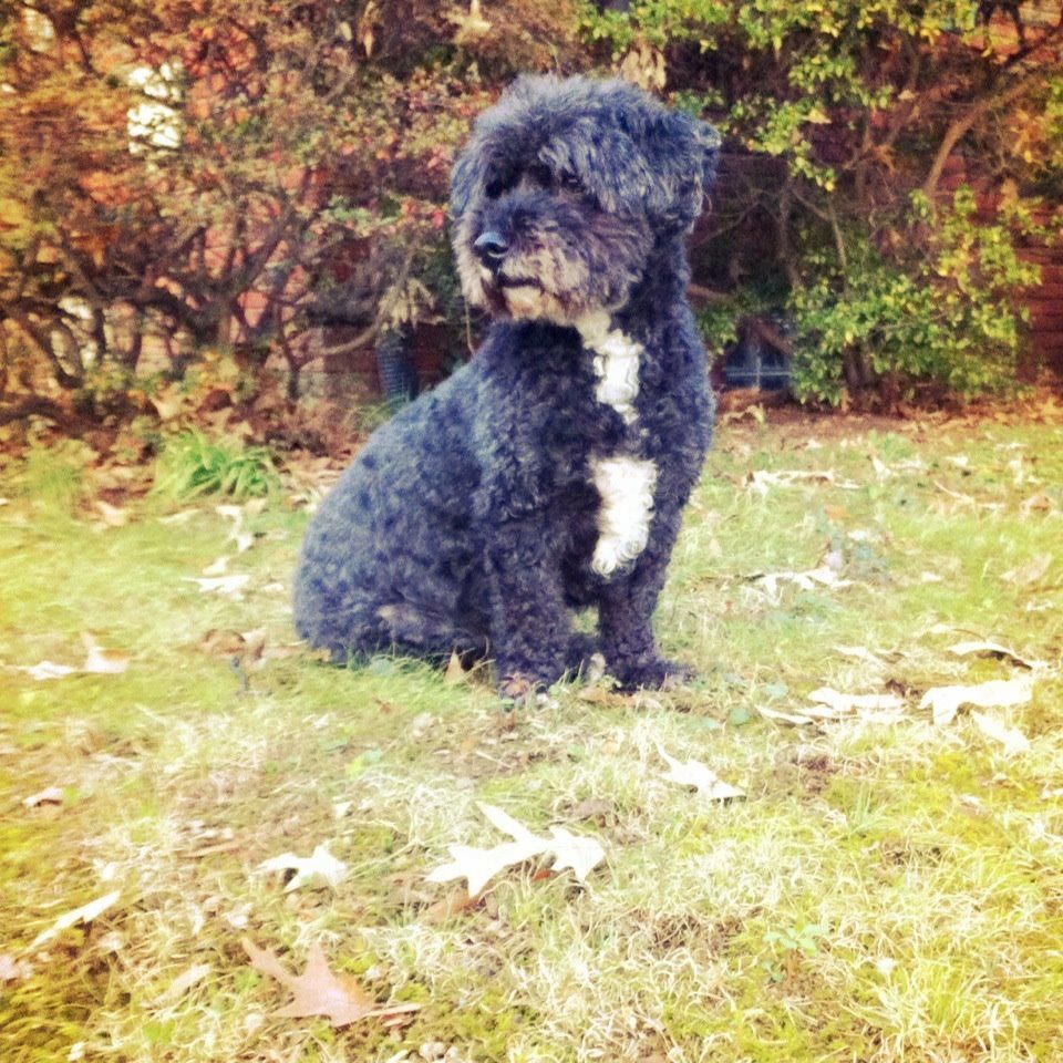 coldest day of the y argos 